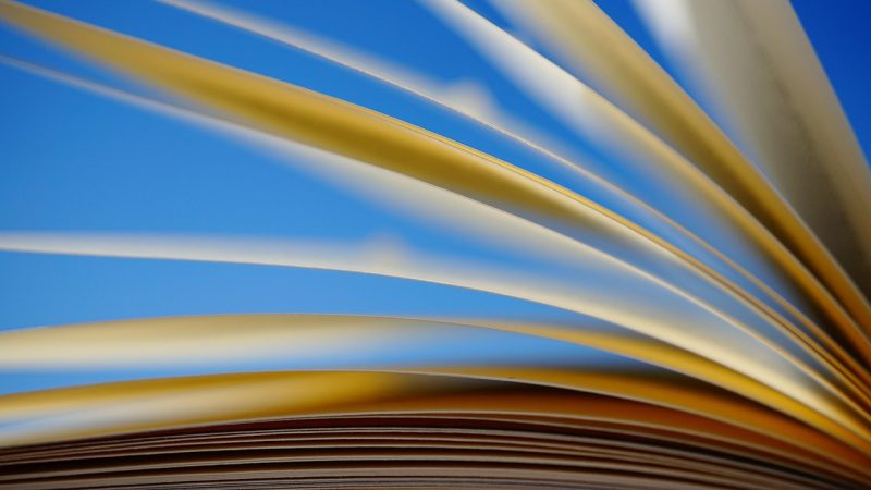 剧集选集列表与更新节奏：老牛影视剧集选集怎么找？ 配图